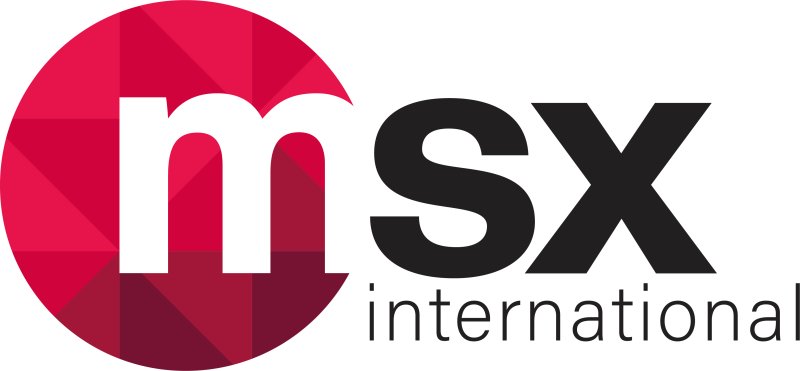 Logo MSX International 